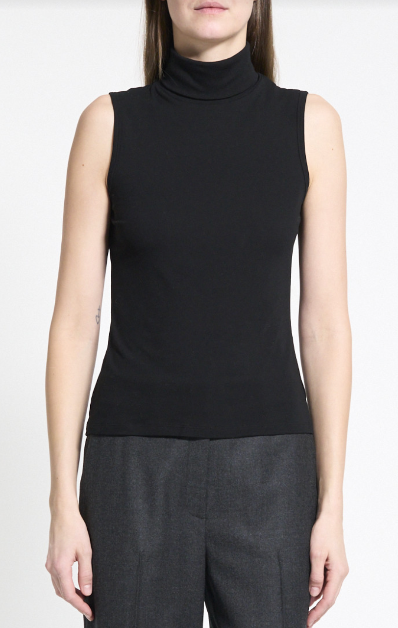 Wendel Ribbed Viscose Turtleneck