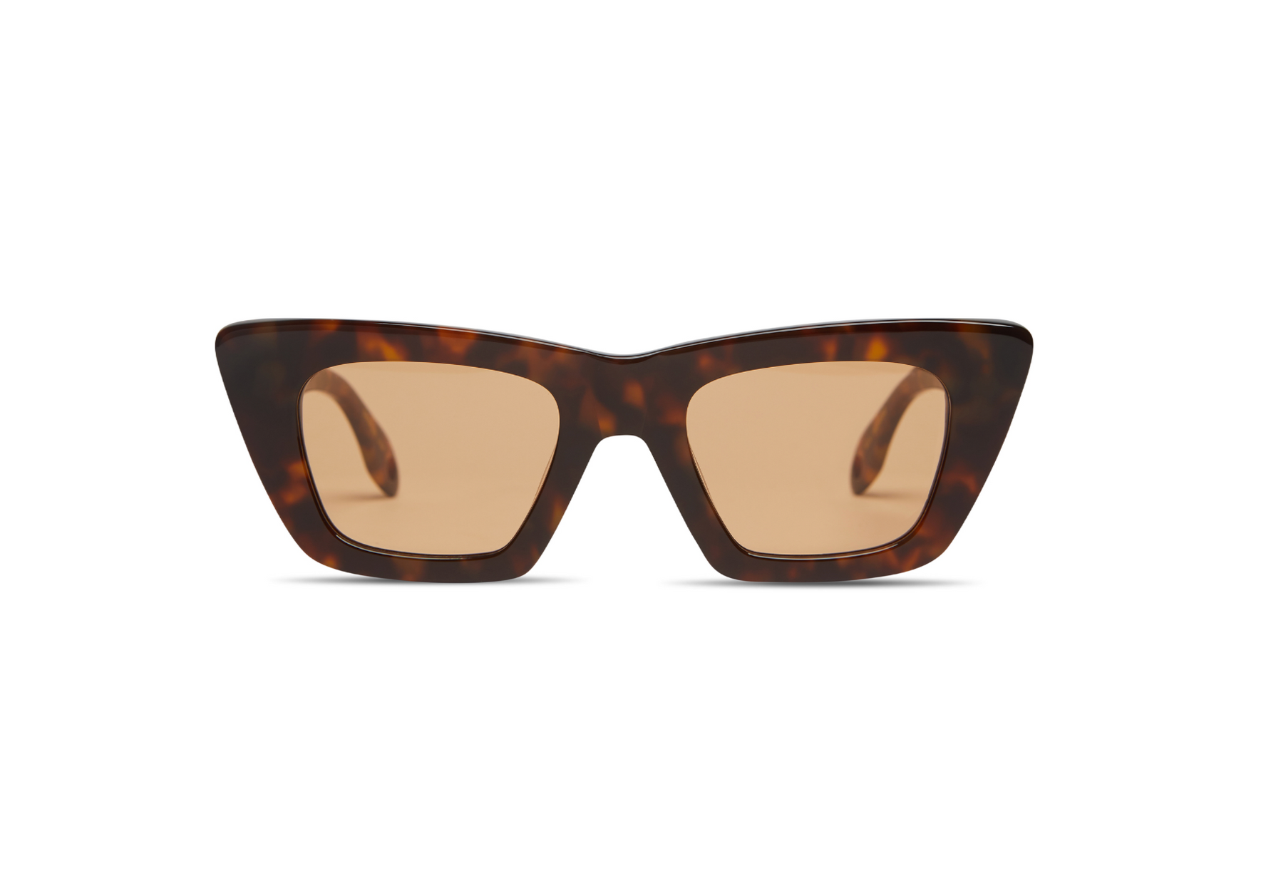 Lori in Brown Tortoise